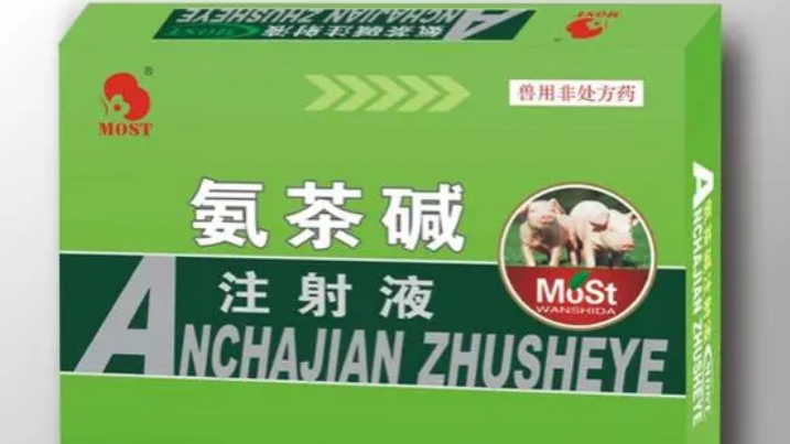 氨茶碱一天最多用多少