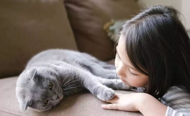 猫咪居然也长青春痘?原来是这样 猫咪居然也长青春痘?原来是这样