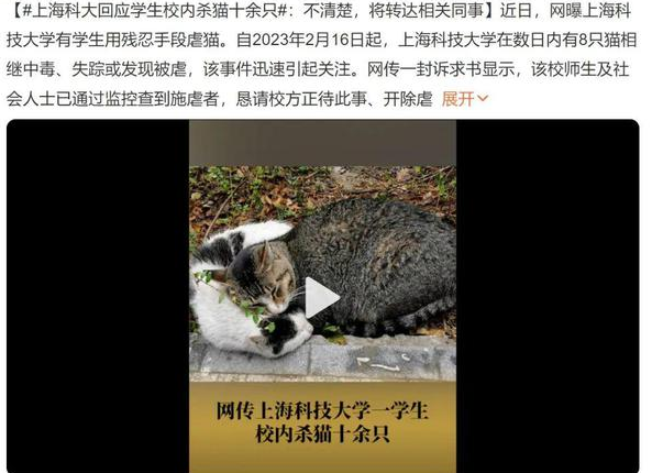 上海科大回应学生校内虐猫