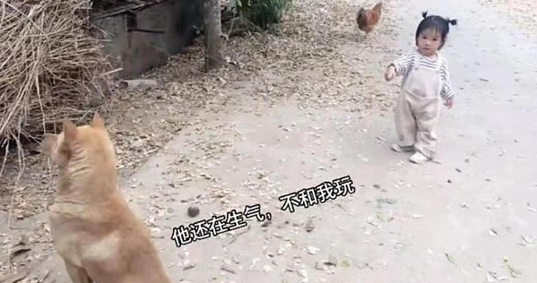 萌娃和狗狗背对背赌气，看了忍不住吐槽：狗都嫌弃的年纪呀