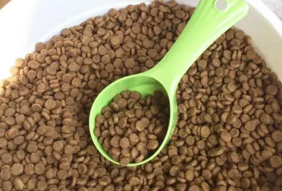 同城怎么卖猫咪狗粮和猫粮 同城怎么卖猫咪狗粮和猫粮