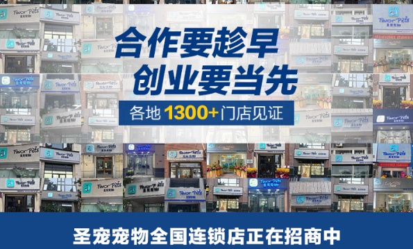 加盟宠物店代理哪家好