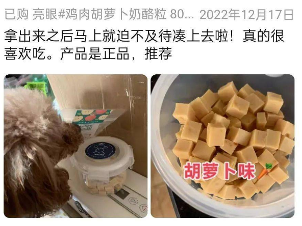 爱吃奶酪也是狗之常情,快点炫我嘴里! 爱吃奶酪也是狗之常情,快点炫我嘴里!