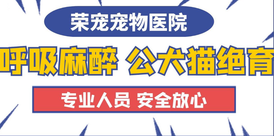 荣宠宠物医院(和昌店)怎么样