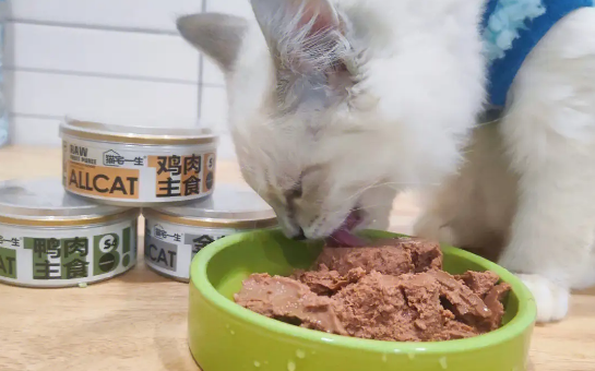 猫咪的主食罐头一次吃不完怎么办呀？