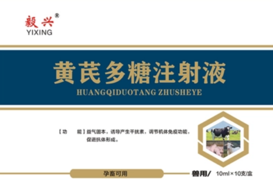 黄芪多糖里面的多糖是什么