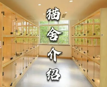 网上猫舍靠谱吗