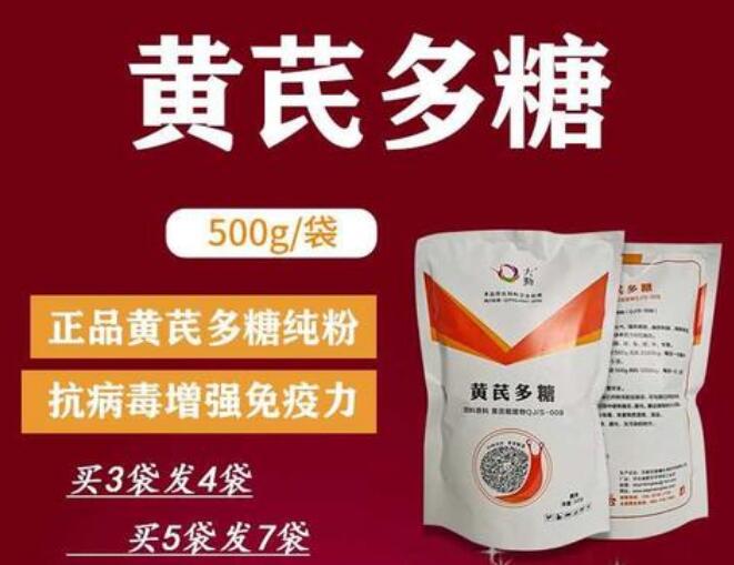 黄芪多糖能长期饲喂吗