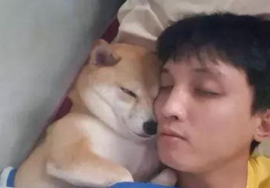 主人前一天还在帮狗狗拍照,第二天却见不到了 主人前一天还在帮狗狗拍照,第二天却见不到了