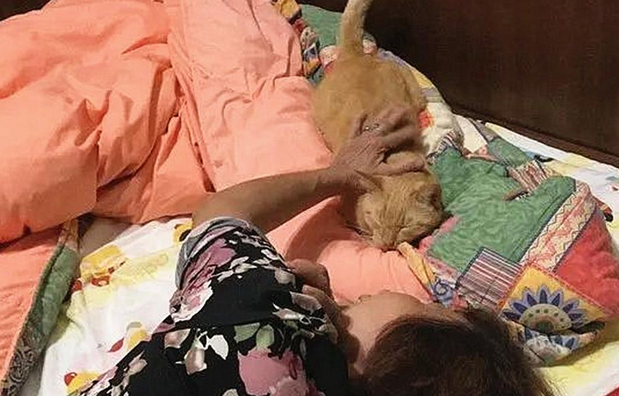 弟弟发来照片，看见妈妈跟猫咪亲热不想说话了