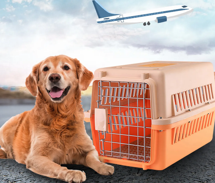 宠物狗航空托运价格 宠物狗航空托运价格