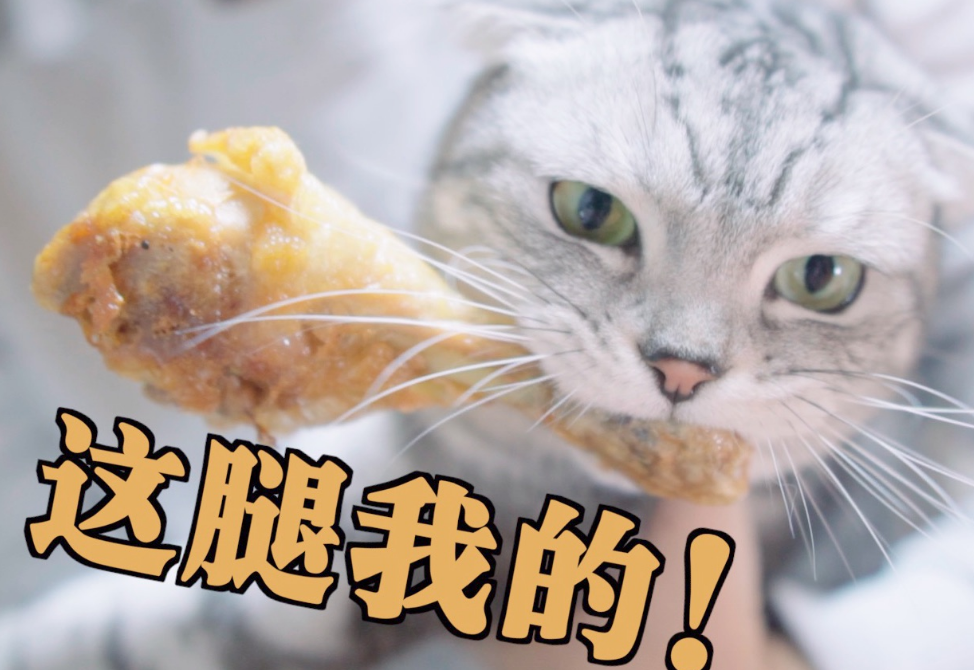 猫咪为什么爱吃鸡腿呢