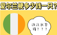 爱尔兰梗多少钱一只？鲁莽大胆又忠诚的狗狗