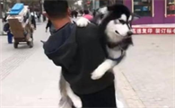 养了狗狗之后,才发现上了这辈子最大的当!