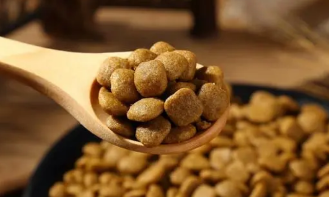 小仙豆狗粮该怎么喂