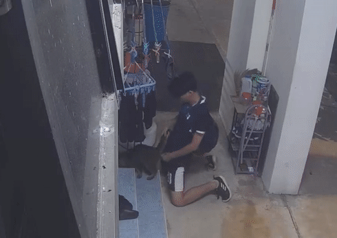 新加坡少年走廊脱裤摩擦猫咪 新加坡少年走廊脱裤摩擦猫咪
