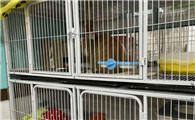 宠物寄养店需要什么手续