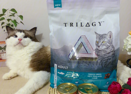 优选奇境尖吻鲈鱼高端猫粮，给猫咪无法拒绝的诱惑