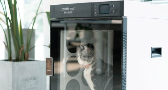 pettime宠物烘干机多少钱 pettime宠物烘干机多少钱
