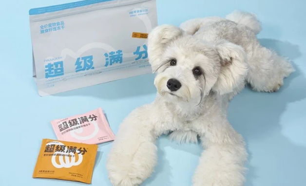 pawka泡咔创始人是谁 pawka泡咔创始人是谁