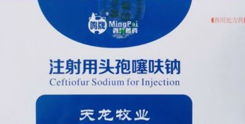 头孢噻呋钠和卡那霉素能一起打吗?