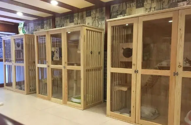 猫舍买猫多少钱