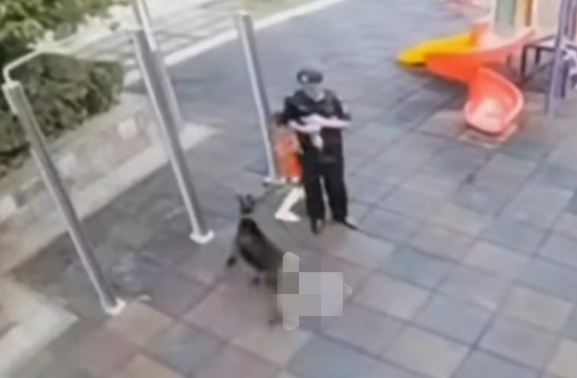 小男孩被大型犬扑咬保安呼喊，狗主人姗姗来迟