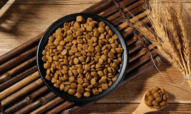 老年犬如何吃狗粮最好