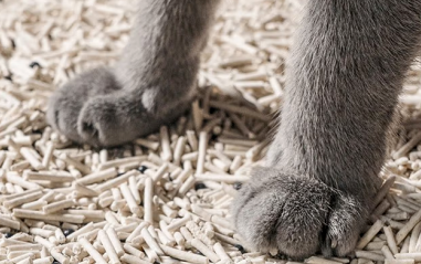 里兜猫砂销量增长迅猛 主打“超强除臭”备受好评