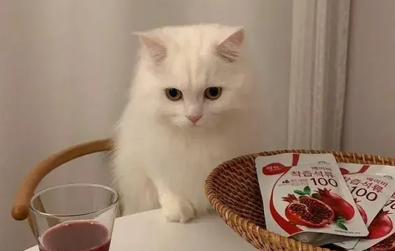 猫像呛到一样一抽一抽的怎么回事呢? 猫像呛到一样一抽一抽的怎么回事呢?