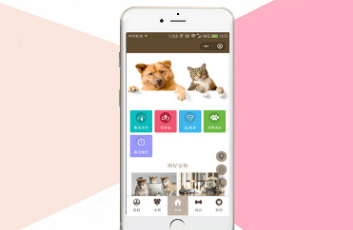 宠物托运app哪个好 宠物托运app哪个好