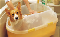 onlypet宠物浴缸怎么样