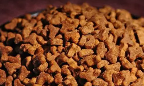 如何解决拒食狗粮的问题?给狗狗喂食狗粮的技巧。 如何解决拒食狗粮的问题?给狗狗喂食狗粮的技巧。
