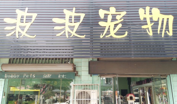 波波宠物医院怎么样