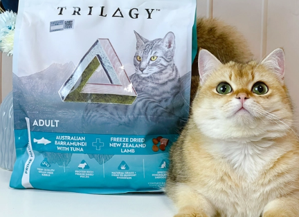 奇境猫粮怎么样?是适配不同猫咪营养需求的上佳之选 奇境猫粮怎么样?是适配不同猫咪营养需求的上佳之选