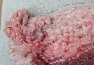 米猪肉与脂肪粒的鉴别