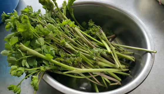 猫爪子菜怎么做好吃呢 猫爪子菜怎么做好吃呢