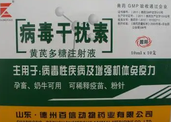 黄芪多糖是干什么的