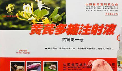 黄芪多糖母猪能用吗