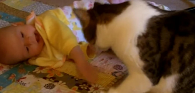 猫咪突然冲宝宝伸出爪子，女子觉得有些不安，随后却直言太暖心了