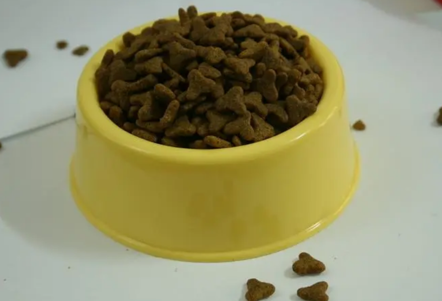 狗不吃狗粮怎么办这方法很有效 狗不吃狗粮怎么办这方法很有效