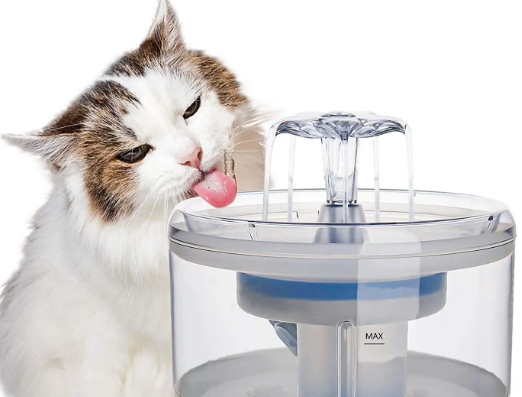 有必要买流动的猫咪饮水机吗