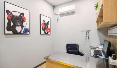 东莞正规的宠物医院 东莞正规的宠物医院