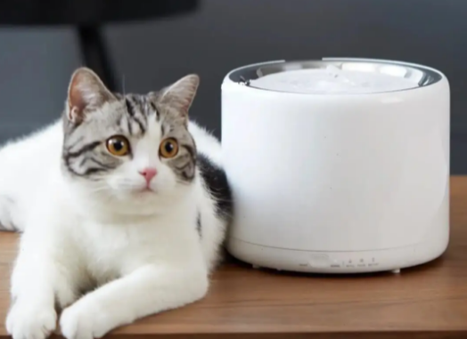 猫咪饮水机是智商税吗