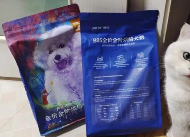 嘉传宠物集团公司官网 嘉传宠物集团公司官网