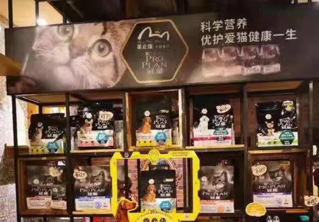 宠物食品市场激增，雀巢新款老年犬粮将进入中国市场