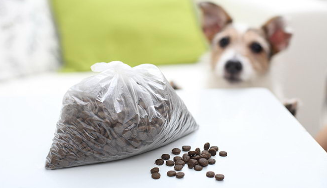 开封狗粮如何保存最好