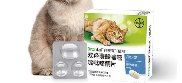 猫内驱虫药多久吃一次