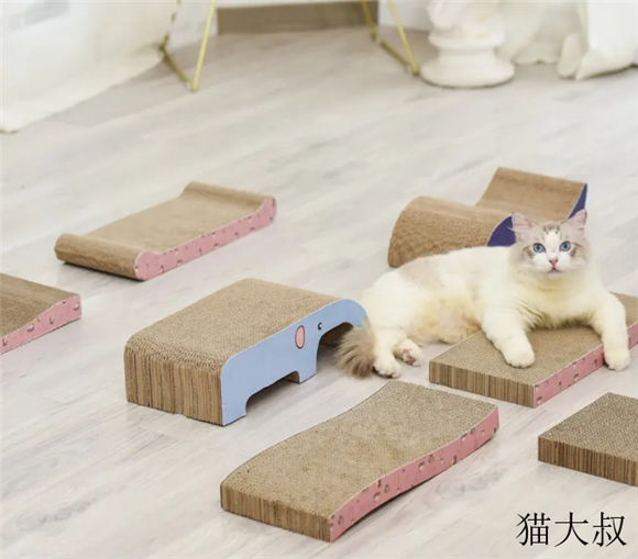 喵大叔宠物用品价格 喵大叔宠物用品价格