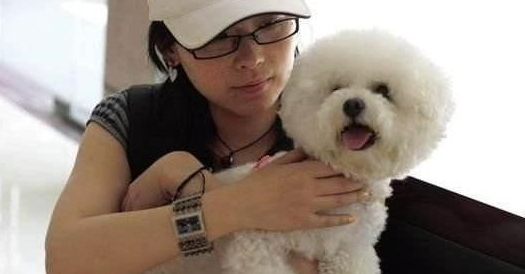 5年养宠物工作经验对你说:摸对这好多个位置,比熊会爱你的! 5年养宠物工作经验对你说:摸对这好多个位置,比熊会爱你的!